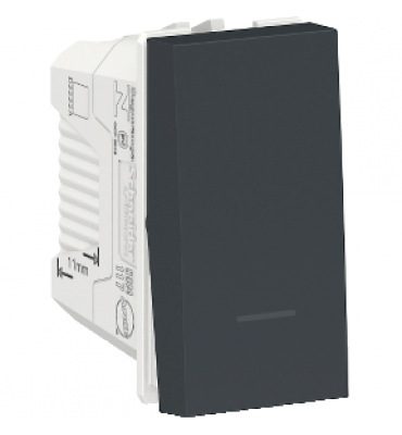 Módulo interruptor simples 10A 250V GR