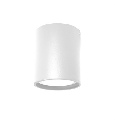 Plafon sobrepor Orion PAR30 branco