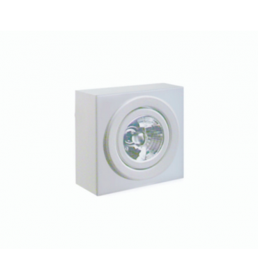 Plafon sobrepor 1xPAR20 BR