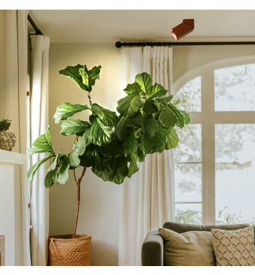 Spot Brava MR16 preto