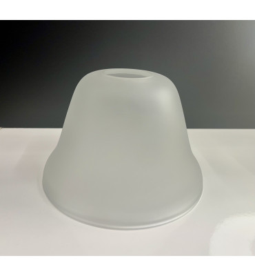 Tulipa Sino 16 fosca