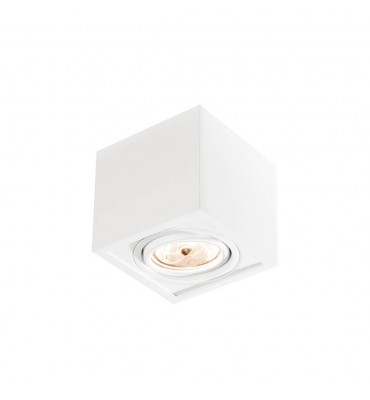 Plafon Box 1xPAR20 PT