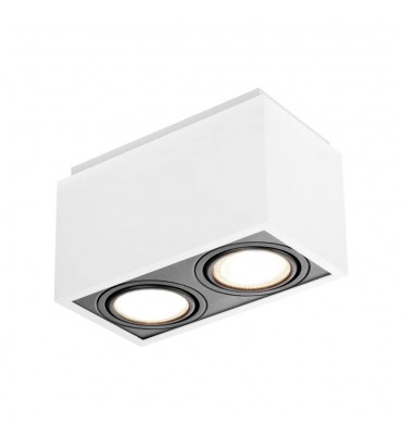 Plafon Box 2xPAR20 BT