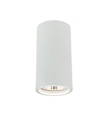 Plafon Lisse I PAR20 PT