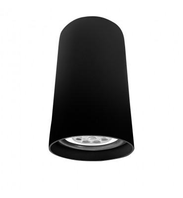 Plafon Lisse II PAR20 PTPT