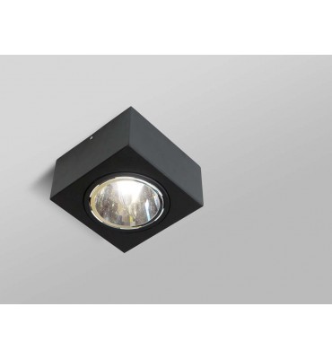 Plafon Florence 1xAR70 PT