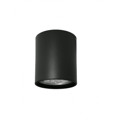 Plafon Orion 1xPAR20 PT