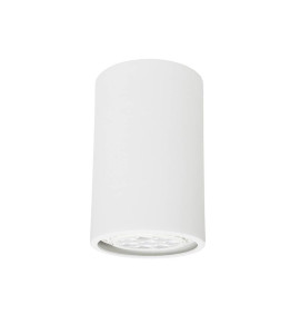 Plafon sobrepor Orion PAR20 branco