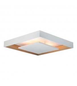 Plafon New Picture LED 16,8W 3000K BT DO