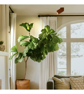 Spot Brava MR16 preto