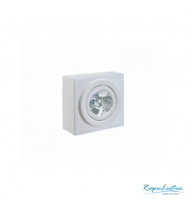 Plafon sobrepor 1xPAR20 PT