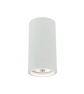 Plafon Lisse I PAR20 PT