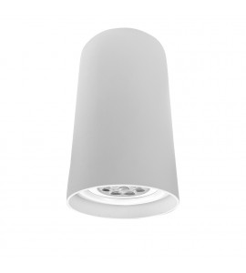 Plafon Lisse II PAR20 BTBT