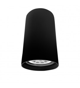 Plafon Lisse II PAR20 PTPT