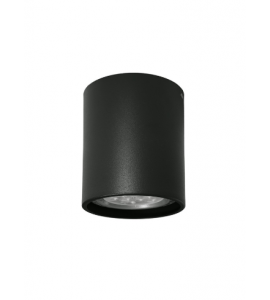 Plafon Orion 1xPAR20 PT